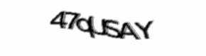 Security check image, please type the characters shown