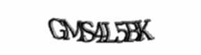 Security check image, please type the characters shown